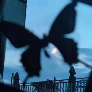 三级黄片影视大全性爱视频
